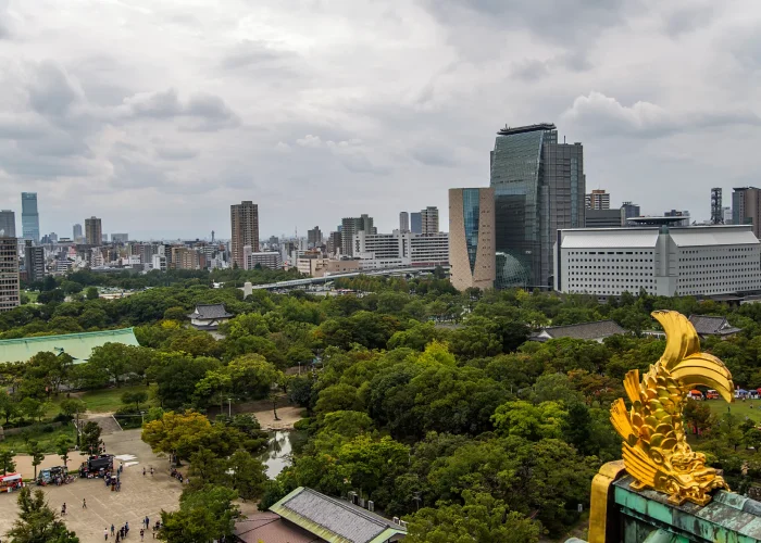 Drone Pilot for Shoot in osaka-japan