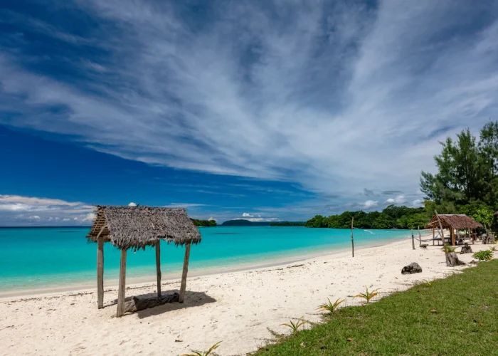 port-orly-sandy-beach-with-palm-trees