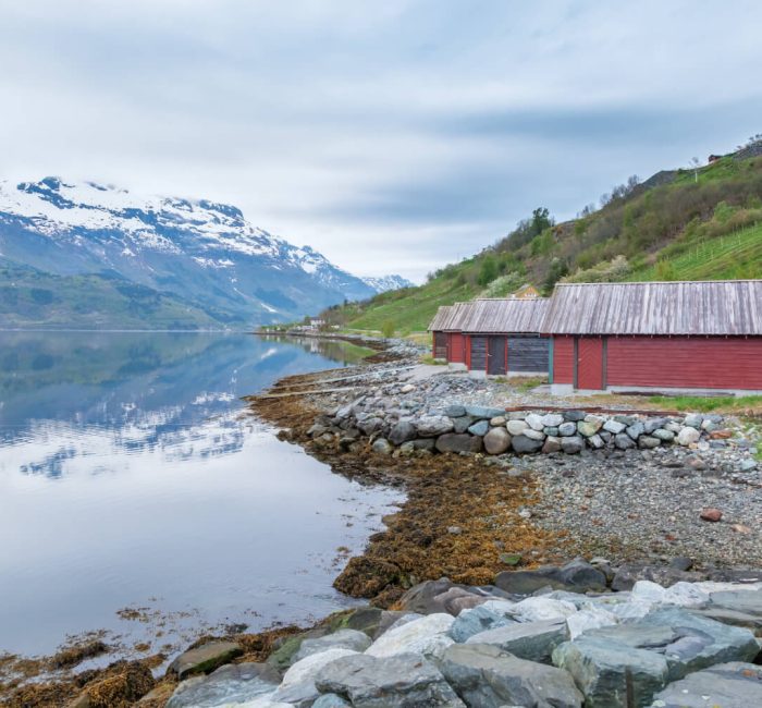 scenic-landscapes-norwegian-fjords (1) (1) scenic-landscapes-norwegian-fjords (1) (1)