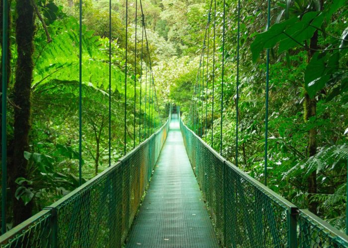 Monteverde Cloud Forest Reserve