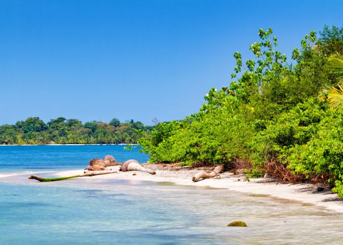 Drone Pilots for Shoots in Cameroon