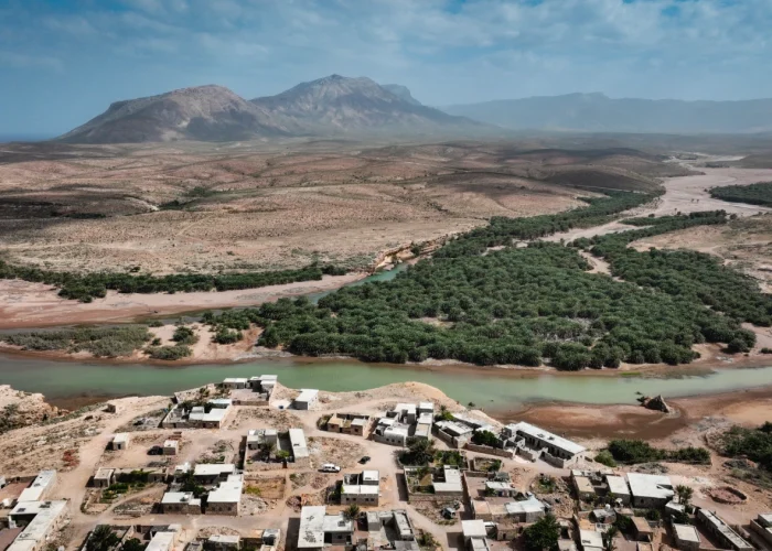 stunning-socotra-landscape-showcasing-unique-geogr-2025-04-27-13-39-04-utc