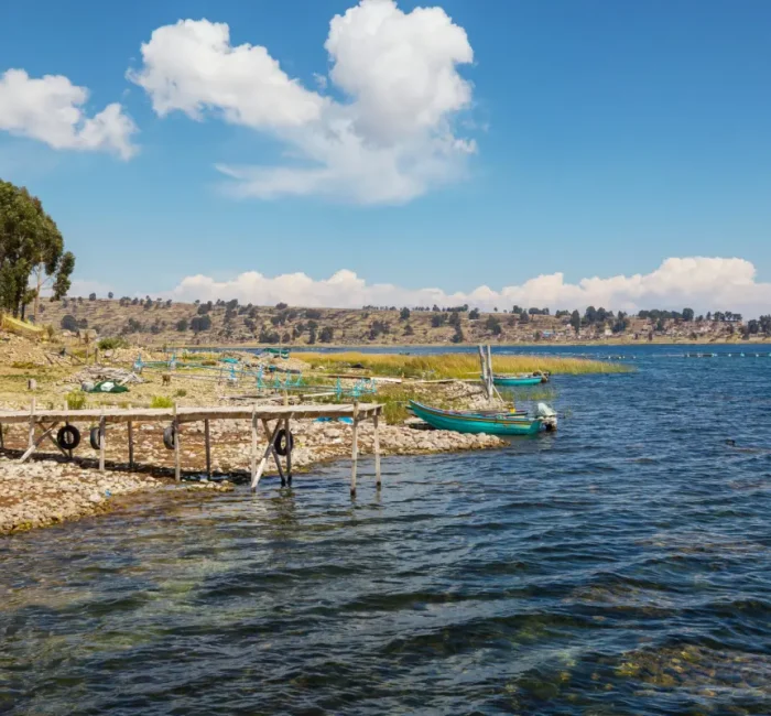 Drone Pilots for Shoot for Survey