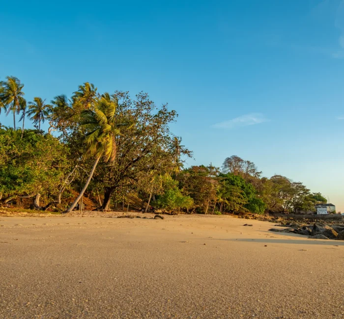 tropical-beach-at-tropical-resort-2025-02-10-08-14-05-utc tropical-beach-at-tropical-resort-2025-02-10-08-14-05-utc