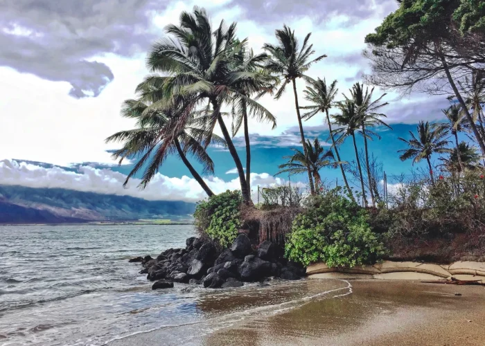 Drone Pilot for Shoot in Maui, Hawaii