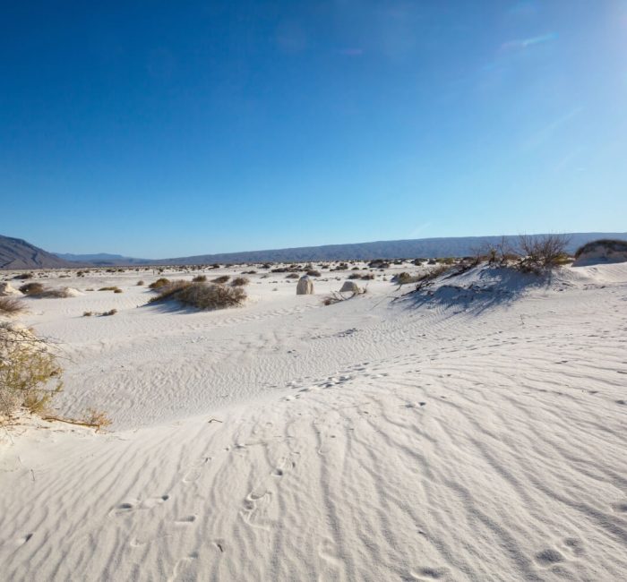 white-sand-dunes-in-mexico-2025-01-09-02-45-57-utc (1) (1) white-sand-dunes-in-mexico-2025-01-09-02-45-57-utc (1) (1)