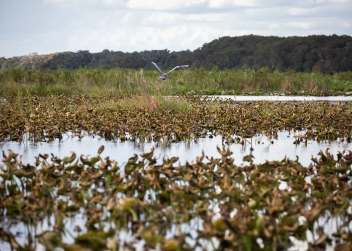 Drone Pilot for Shoot in Everglades National Park, FL
